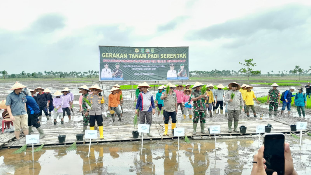 Pj Bupati Inhil Tanam Benih Pertama Gerakan Tanam Padi Serentak 3.000 Ha