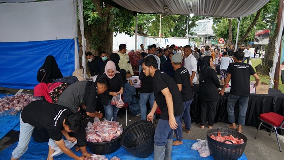 127 Hewan Kurban Disalurkan  Pertamina Patra Niaga Sumbagut