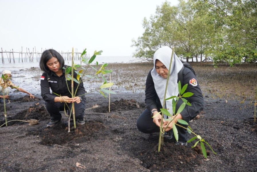 Polda Riau dan Polres Dumai Tanam 200 Pohon Mangrove di Bibir Pantai