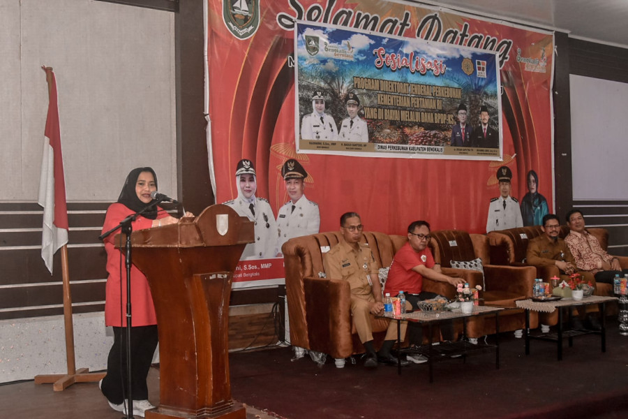 Percepatan Pengembangan Kelapa Sawit, Bupati Kasmarni Buka Sosialisasi Perkebunan