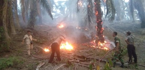 Iklim Berubah dengan Cepat Sebabkan Cuaca Ekstrem