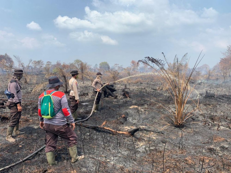 Petugas Gabungan Berjibaku Padamkan Karhutla di Rohil